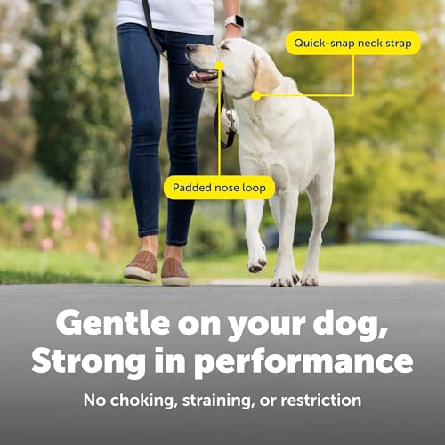 PetSafe Gentle Leader No-Pull Headcollar, Medium, Apple Green - Redirects Pulling for Easier Walks