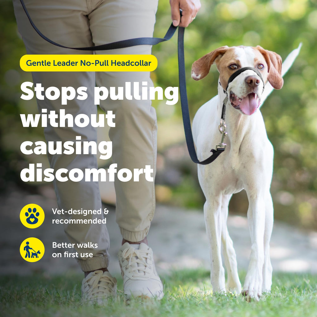 PetSafe Gentle Leader No-Pull Headcollar, Medium, Apple Green - Redirects Pulling for Easier Walks