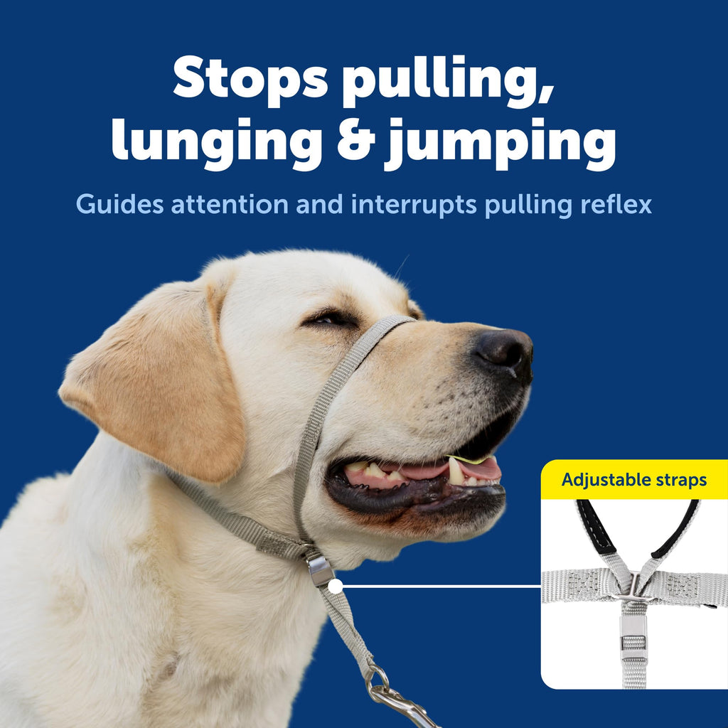 PetSafe Gentle Leader No-Pull Headcollar, Medium, Apple Green - Redirects Pulling for Easier Walks