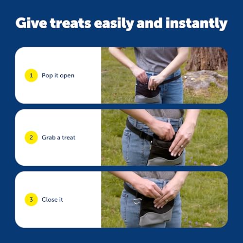 PetSafe Treat Pouch Sport - Durable Canvas Dog Training Pouch with Divided Pocket, Red