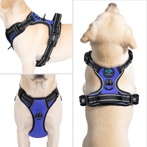 PHOEPET No Pull Dog Harness for Small Puppies - Reflective Adjustable Vest with Dual Leash Clips and Soft Handle (Royal Blue, Size Small)