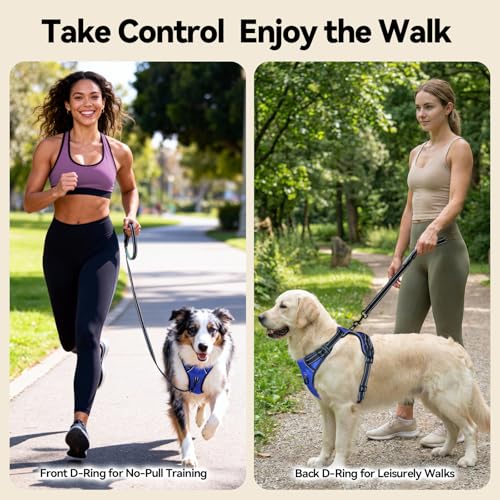 PHOEPET No Pull Dog Harness for Small Puppies - Reflective Adjustable Vest with Dual Leash Clips and Soft Handle (Royal Blue, Size Small)