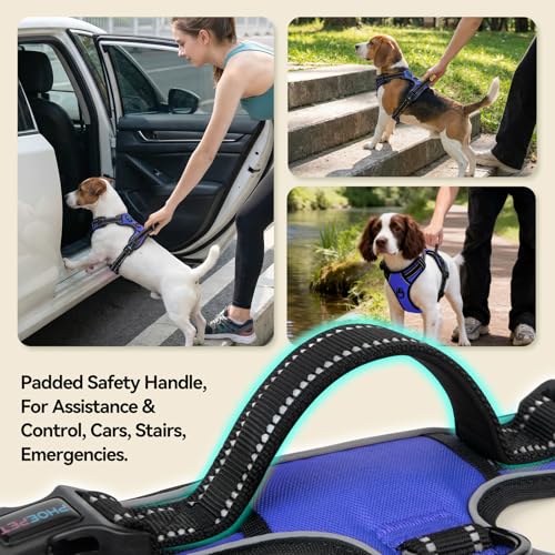 PHOEPET No Pull Dog Harness for Small Puppies - Reflective Adjustable Vest with Dual Leash Clips and Soft Handle (Royal Blue, Size Small)
