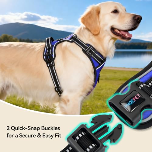 PHOEPET No Pull Dog Harness for Small Puppies - Reflective Adjustable Vest with Dual Leash Clips and Soft Handle (Royal Blue, Size Small)