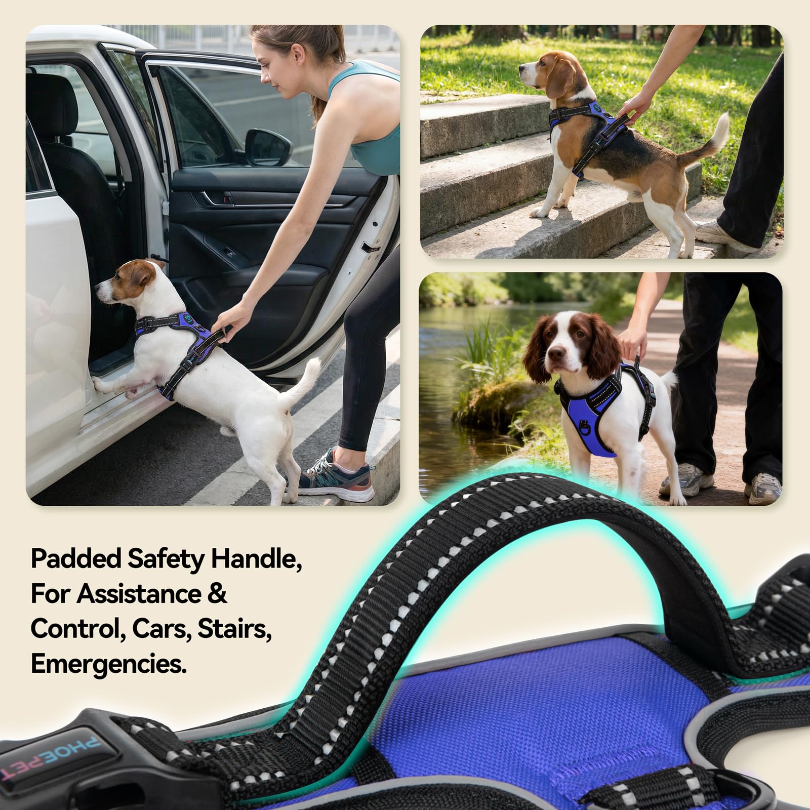PHOEPET No Pull Dog Harness for Small Puppies - Reflective Adjustable Vest with Dual Leash Clips and Soft Handle (Royal Blue, Size Small)