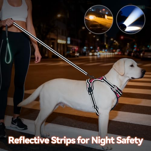 PHOEPET No Pull Dog Harness for Small Puppies – Reflective Front Clip Vest with 2 Leash Rings and Handle (XS, Pink)