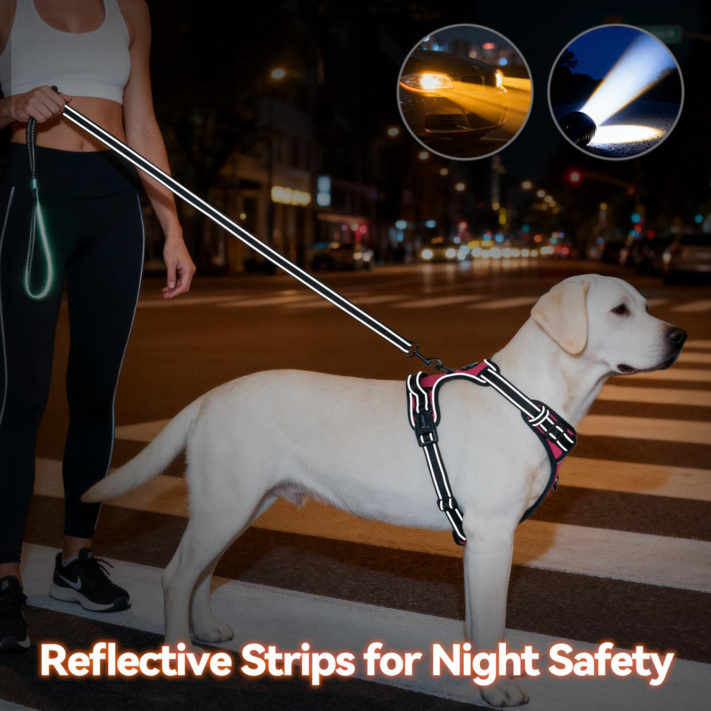 PHOEPET No Pull Dog Harness for Small Puppies – Reflective Front Clip Vest with 2 Leash Rings and Handle (XS, Pink)