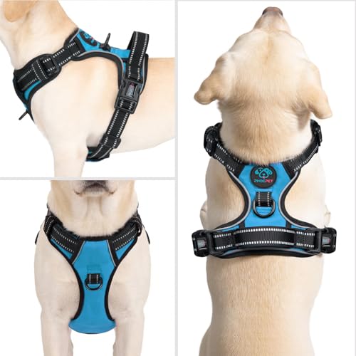 PHOEPET No Pull Dog Harness for Small Puppies: XS Blue Reflective Vest with Dual Clips and Handle