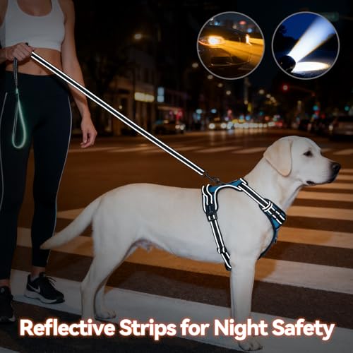 PHOEPET No Pull Dog Harness for Small Puppies: XS Blue Reflective Vest with Dual Clips and Handle