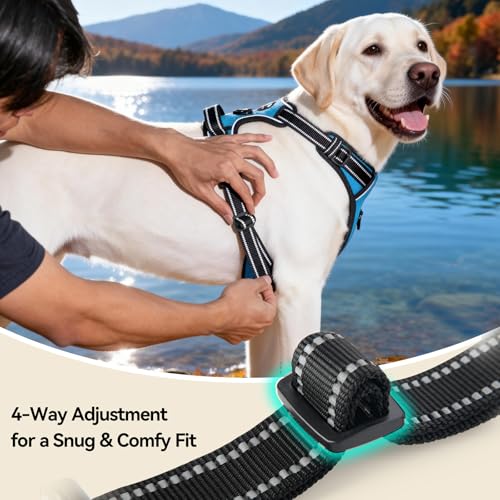 PHOEPET No Pull Dog Harness for Small Puppies: XS Blue Reflective Vest with Dual Clips and Handle