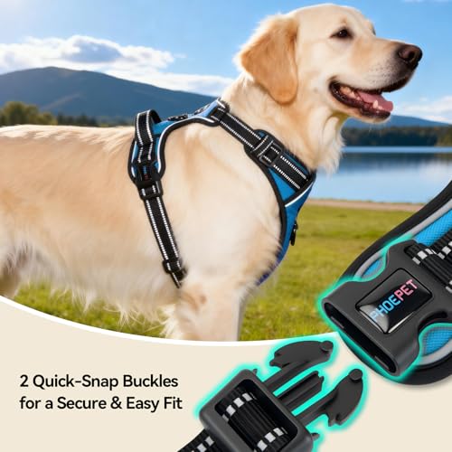 PHOEPET No Pull Dog Harness for Small Puppies: XS Blue Reflective Vest with Dual Clips and Handle