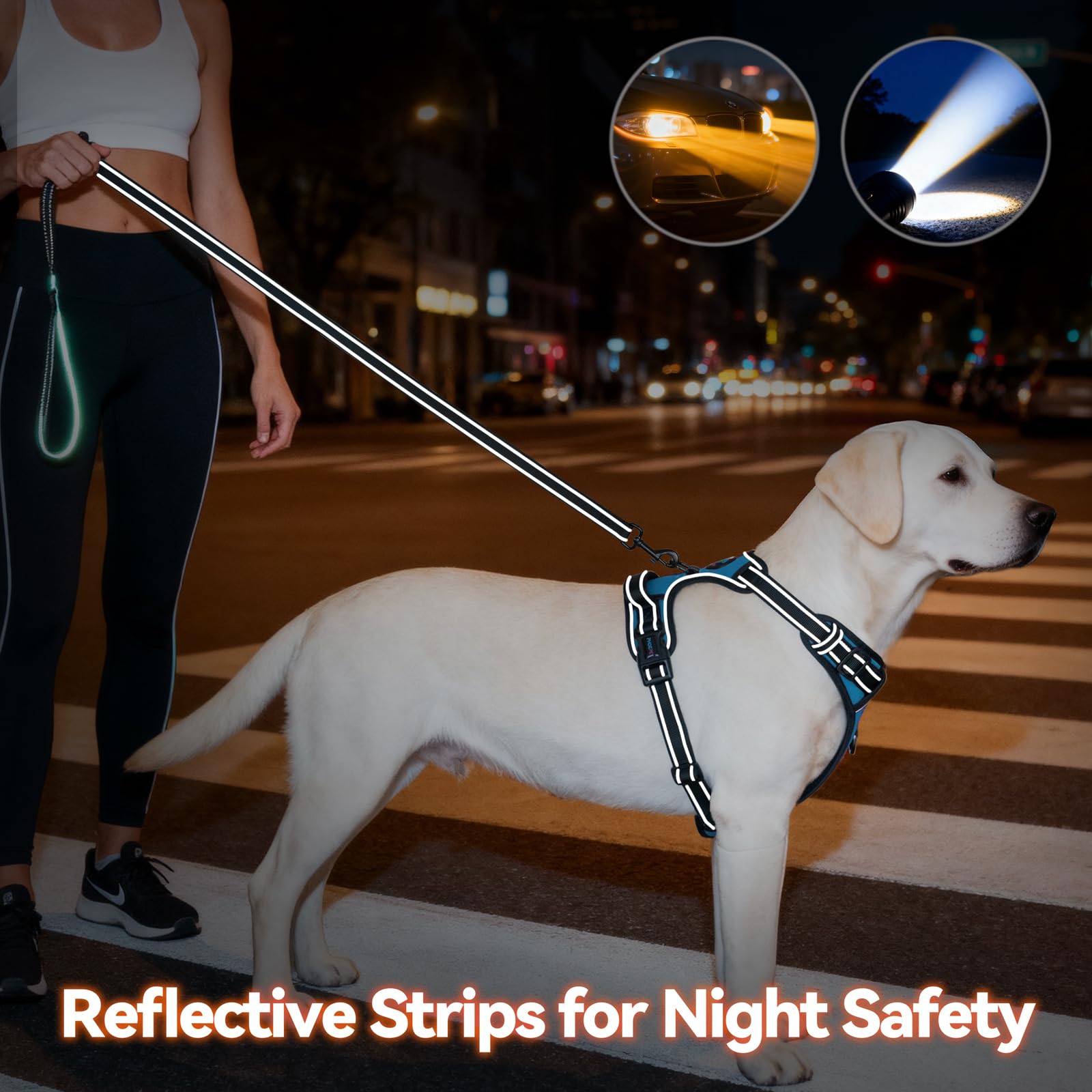 PHOEPET No Pull Dog Harness for Small Puppies: XS Blue Reflective Vest with Dual Clips and Handle