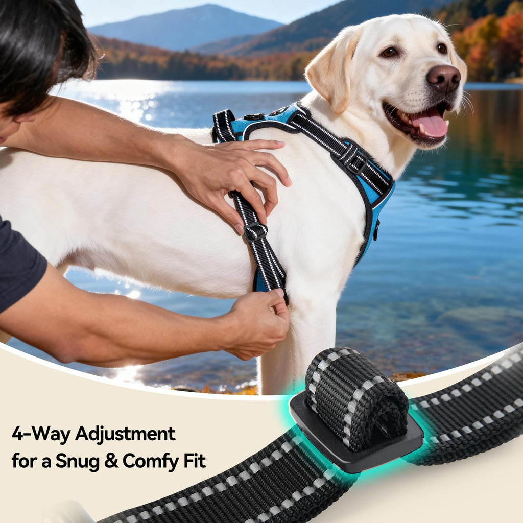 PHOEPET No Pull Dog Harness for Small Puppies: XS Blue Reflective Vest with Dual Clips and Handle