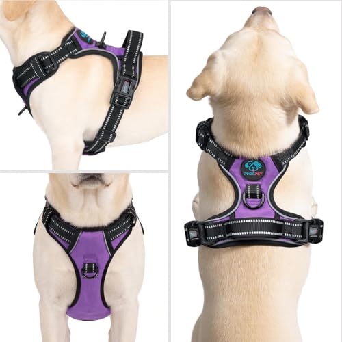 PHOEPET No Pull Dog Harness Medium Purple - Reflective Front Clip Vest with Handle and Dual Leash Rings