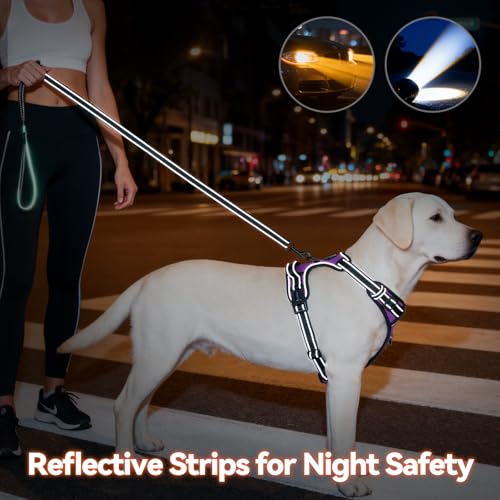 PHOEPET No Pull Dog Harness Medium Purple - Reflective Front Clip Vest with Handle and Dual Leash Rings