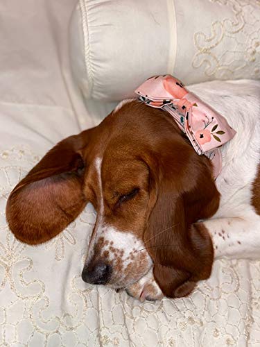 Pink Flower Floral Dog Collar with Bow - Adjustable XL Cotton Collar for Small, Medium, Large Dogs and Cats