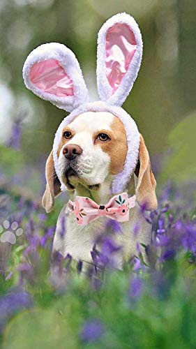 Pink Flower Floral Dog Collar with Bow - Adjustable XL Cotton Collar for Small, Medium, Large Dogs and Cats