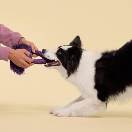 Playology Dri-Tech Rope: Bacon-Scented Jumbo Tug Toy for Medium Dogs (Up to 50 lbs)