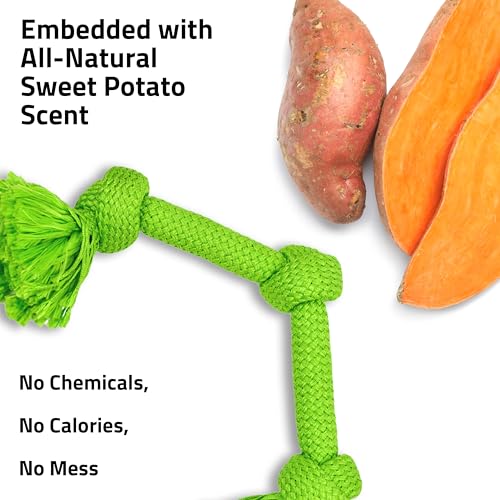 Playology Dri-Tech Rope Tug of War Toy for Large Dogs - Sweet Potato Scented Jumbo Rope