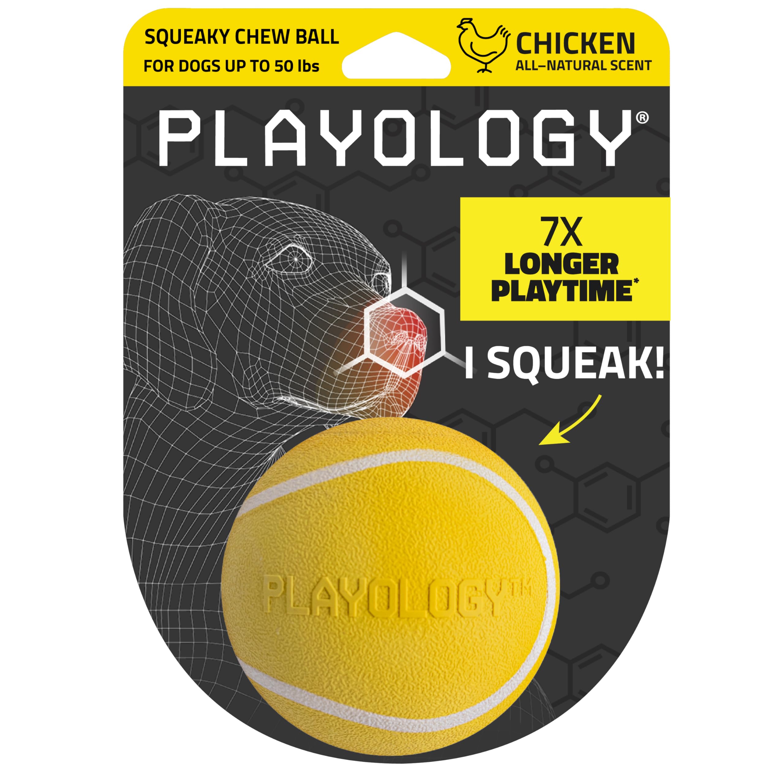 Playology Squeaky Chew Ball for Dogs - Medium Chicken Scented Bouncy Floating Toy (up to 50 lbs)