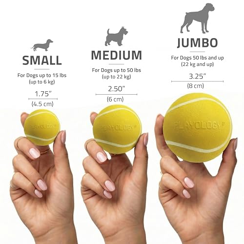 Playology Squeaky Chew Ball for Dogs - Medium Chicken Scented Bouncy Floating Toy (up to 50 lbs)