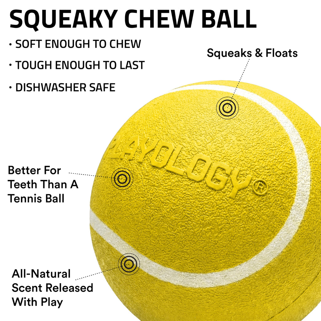 Playology Squeaky Chew Ball for Dogs - Medium Chicken Scented Bouncy Floating Toy (up to 50 lbs)