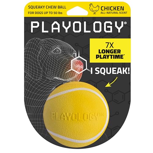 Playology Squeaky Chew Ball for Dogs - Medium Chicken Scented Bouncy Floating Toy (up to 50 lbs)