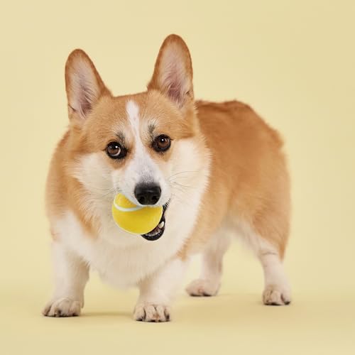 Playology Squeaky Chew Ball for Dogs - Medium Chicken Scented Bouncy Floating Toy (up to 50 lbs)
