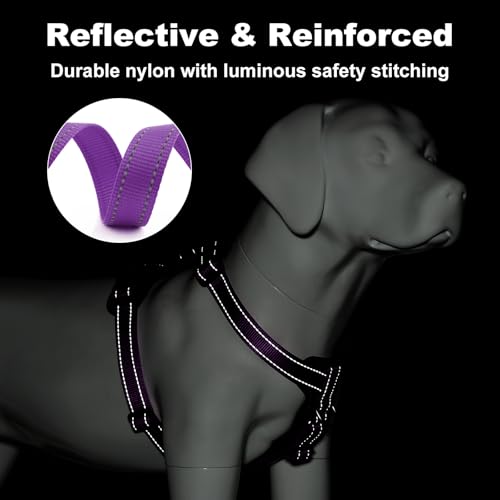 Plutus Pet Adjustable No-Pull Dog Harness - Purple, Medium - Reflective, Leather Accents
