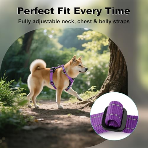 Plutus Pet Adjustable No-Pull Dog Harness - Purple, Medium - Reflective, Leather Accents
