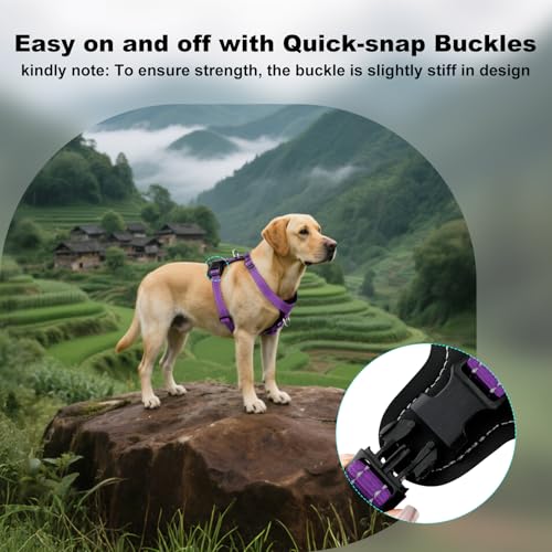 Plutus Pet Adjustable No-Pull Dog Harness - Purple, Medium - Reflective, Leather Accents