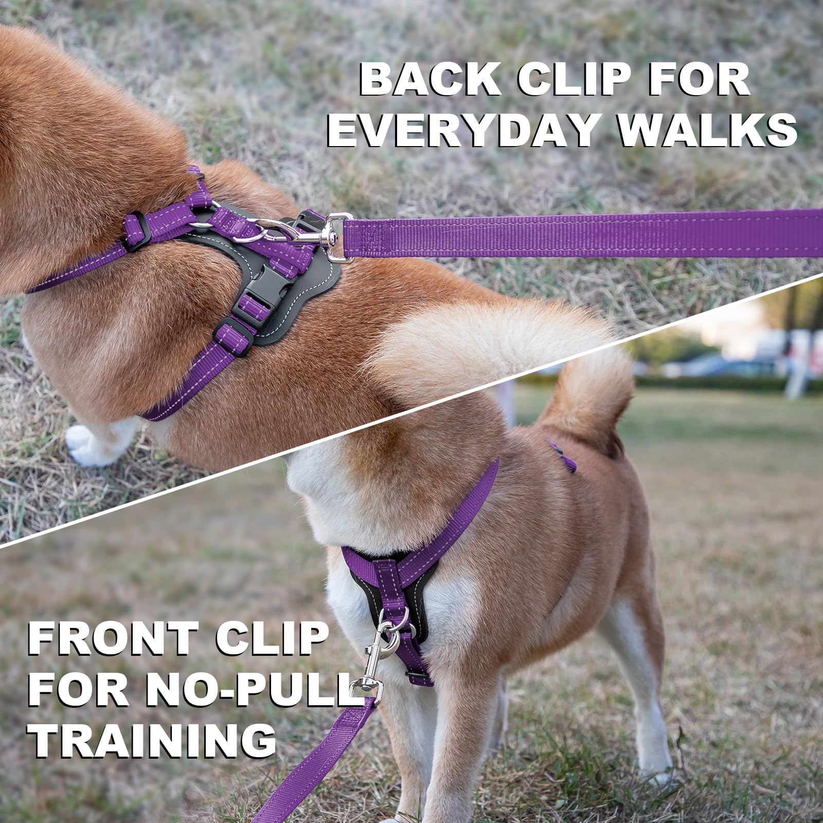 Plutus Pet Adjustable No-Pull Dog Harness - Purple, Medium - Reflective, Leather Accents