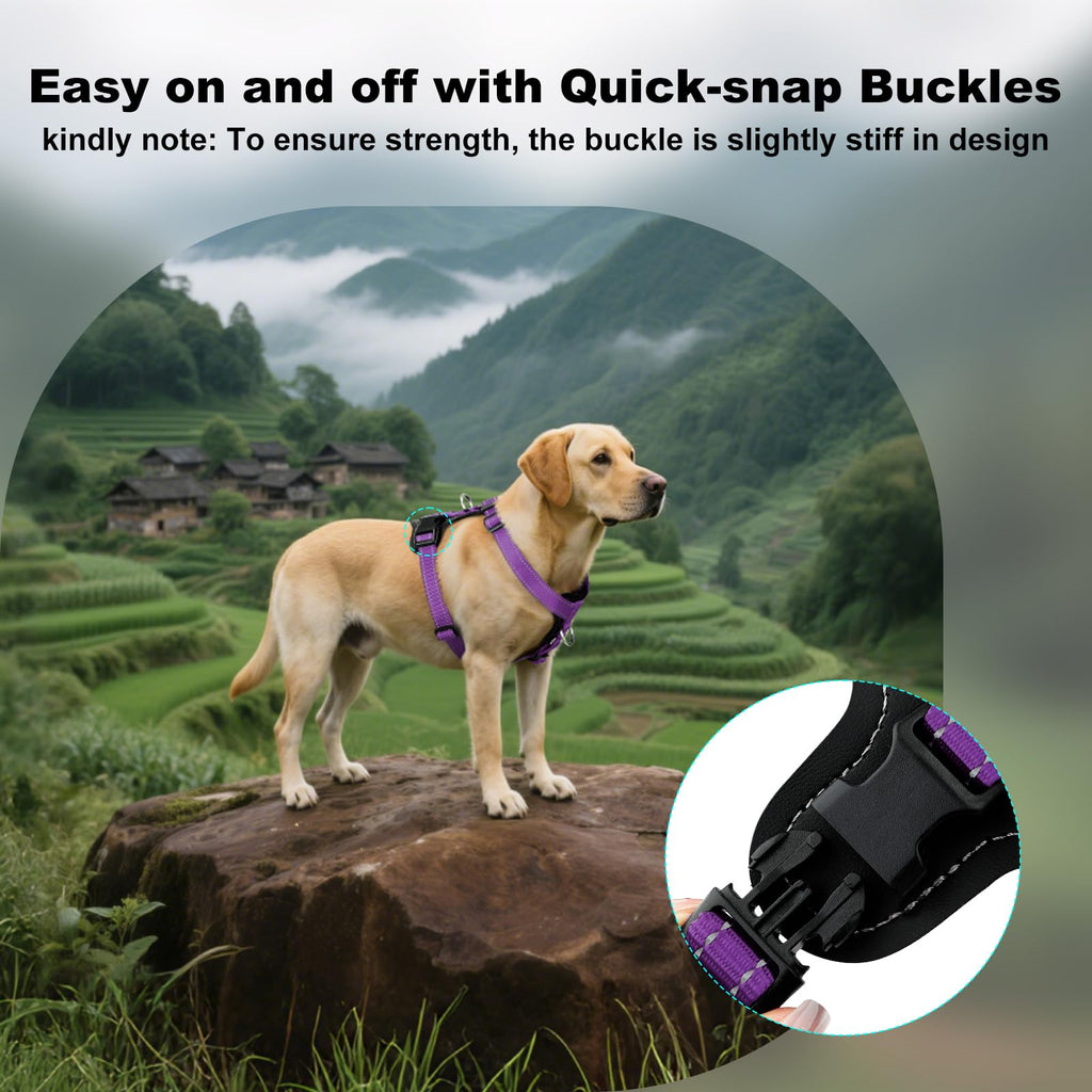 Plutus Pet Adjustable No-Pull Dog Harness - Purple, Medium - Reflective, Leather Accents