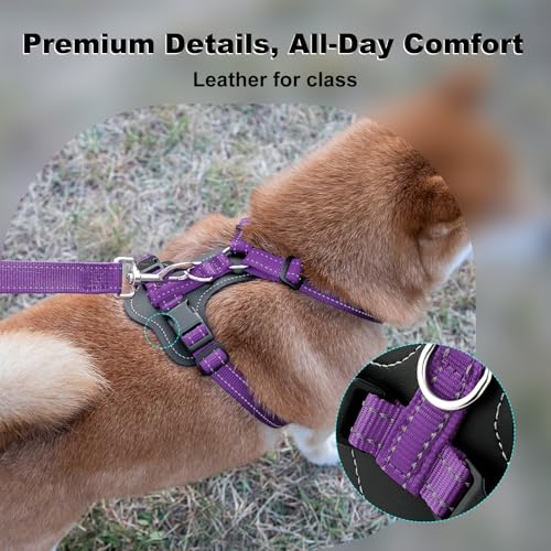 Plutus Pet Adjustable No-Pull Dog Harness - Purple, Medium - Reflective, Leather Accents