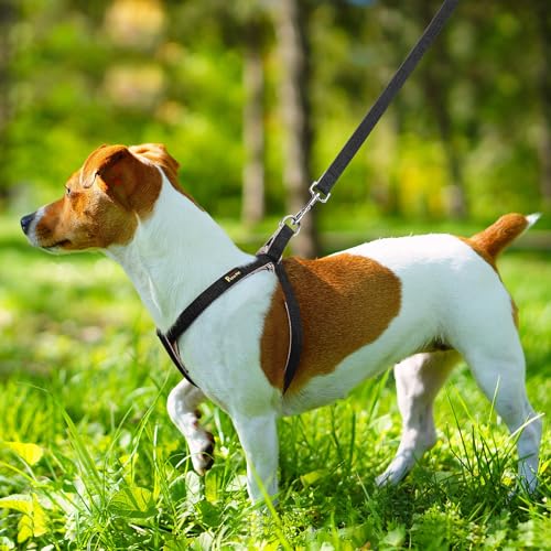 Plutus Pet Cotton & Hemp Step-In Dog Harness – Black, Size L: Lightweight, Escape-Proof & Quick Fit