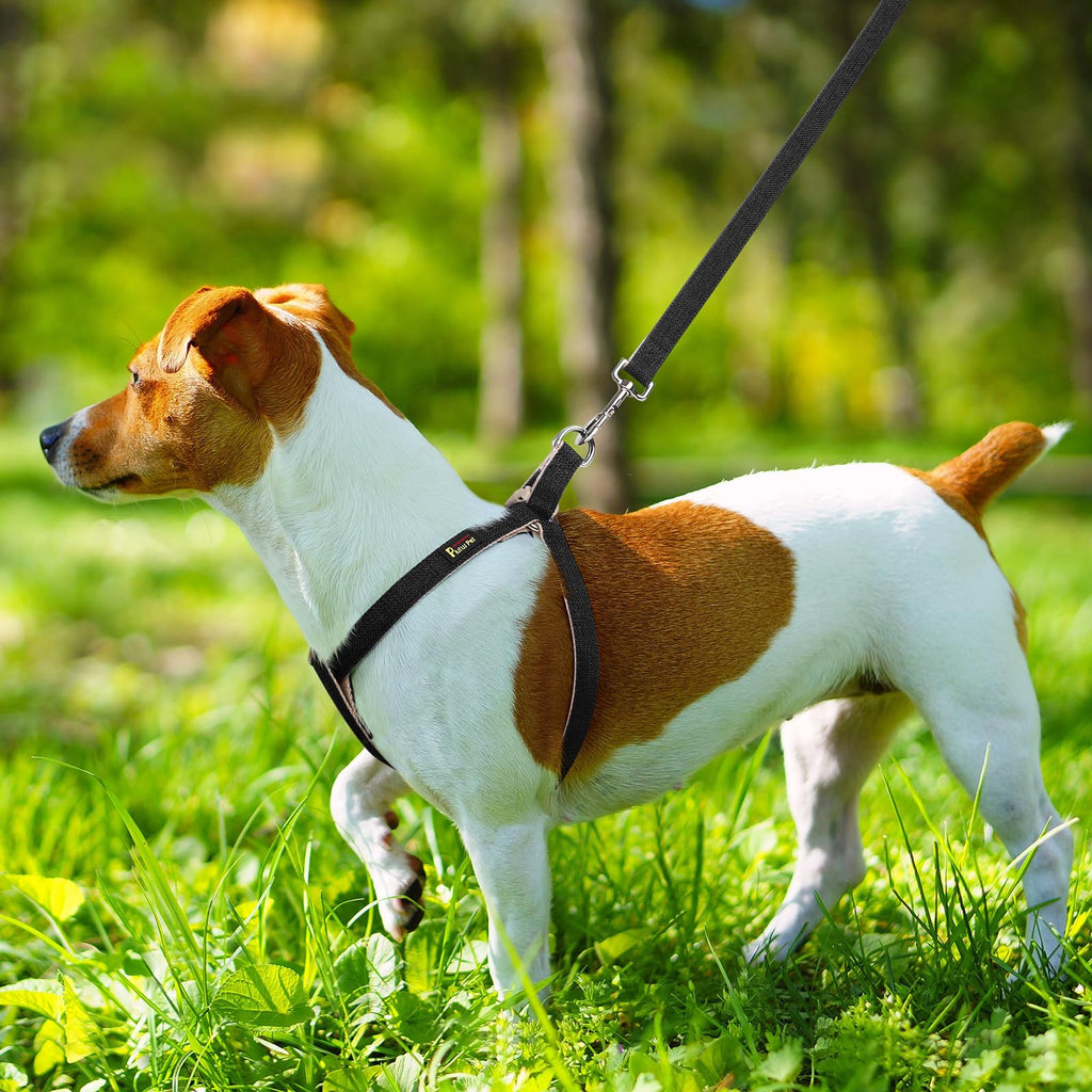 Plutus Pet Cotton & Hemp Step-In Dog Harness – Black, Size L: Lightweight, Escape-Proof & Quick Fit