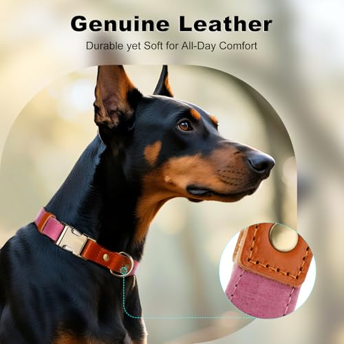 Plutus Pet Genuine Leather & Hemp Dog Collar - Pink, Size L - Adjustable Quick Release Metal Buckle