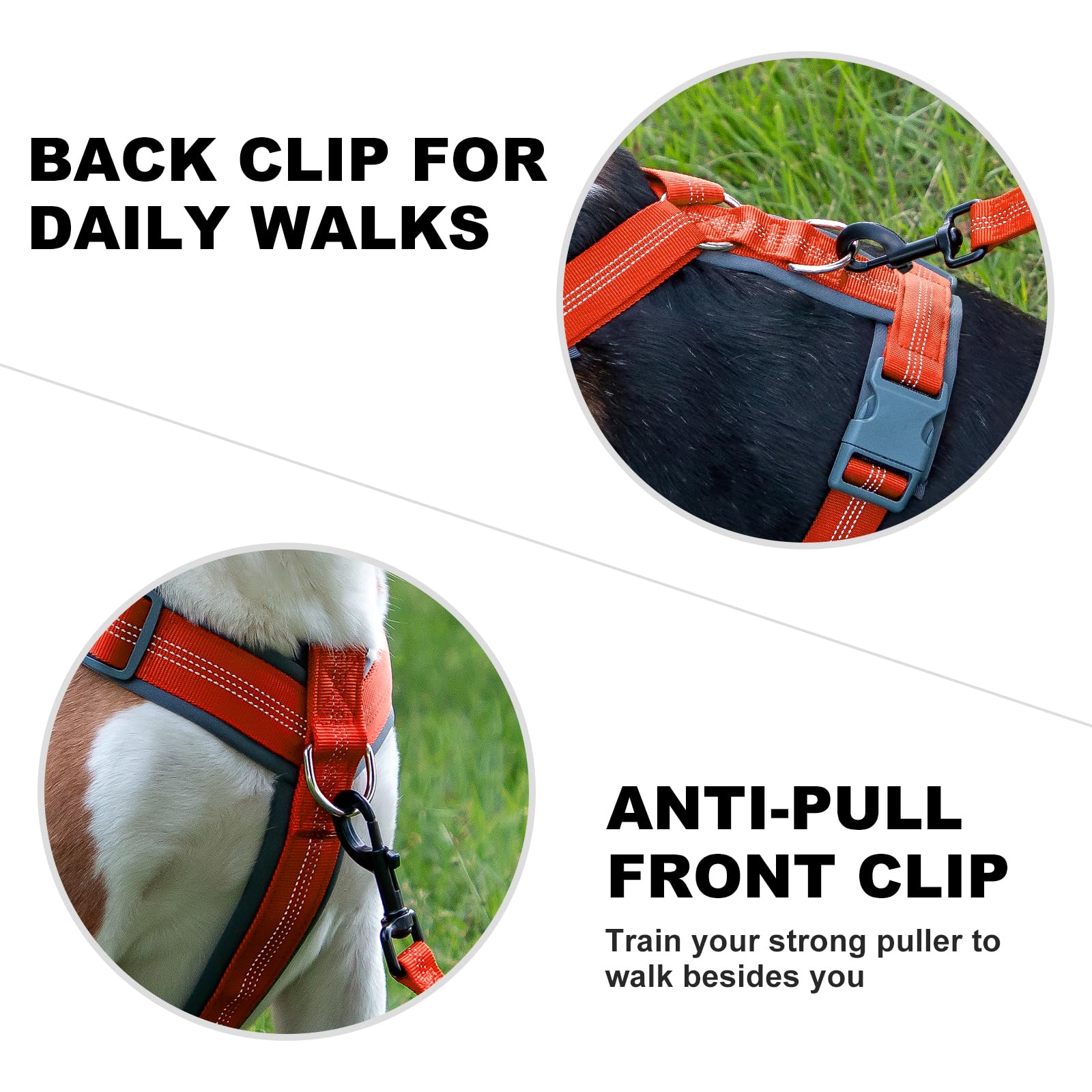 PLUTUS PET No Pull Dog Harness - Adjustable Nylon with Soft Padding, Reflective Strip, Heavy Duty for Large Dogs (Orange, L)