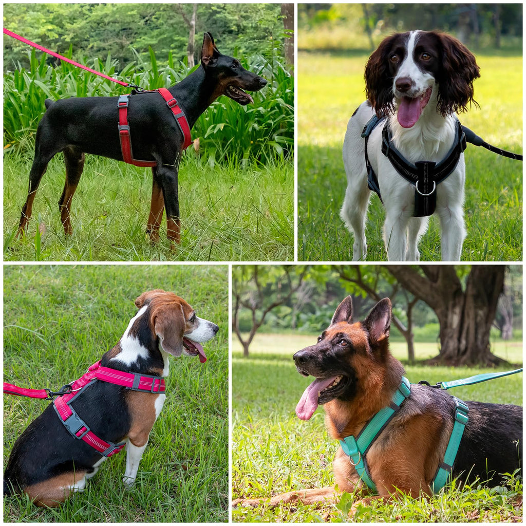 PLUTUS PET No Pull Dog Harness - Adjustable Nylon with Soft Padding, Reflective Strip, Heavy Duty for Large Dogs (Orange, L)