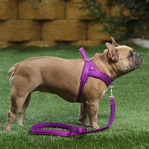 Plutus Pet No Pull Dog Harness - Purple, Size M: Breathable Mesh, Reflective, Escape Proof Vest for Small to Large Dogs
