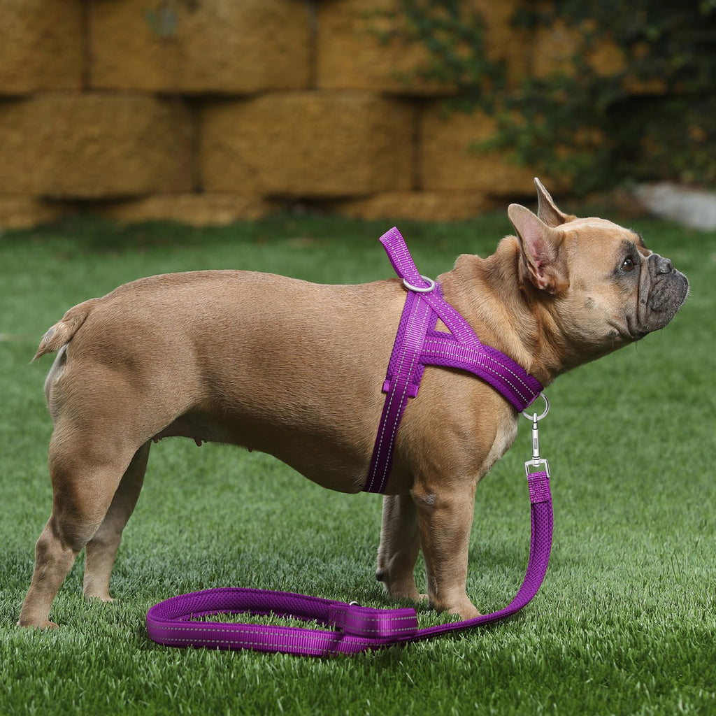 Plutus Pet No Pull Dog Harness - Purple, Size M: Breathable Mesh, Reflective, Escape Proof Vest for Small to Large Dogs