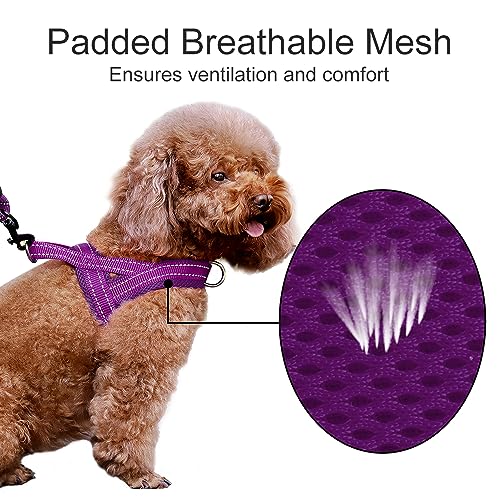 Plutus Pet No Pull Dog Harness - Purple, Size M: Breathable Mesh, Reflective, Escape Proof Vest for Small to Large Dogs