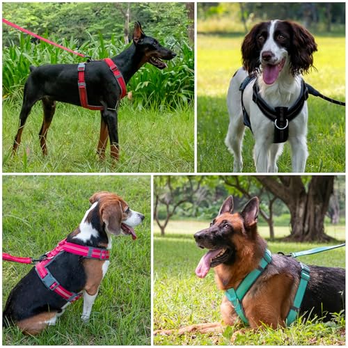 Plutus Pet No Pull Dog Harness - Red, Size S: Adjustable Nylon Vest with Reflective Strips for Small Dogs