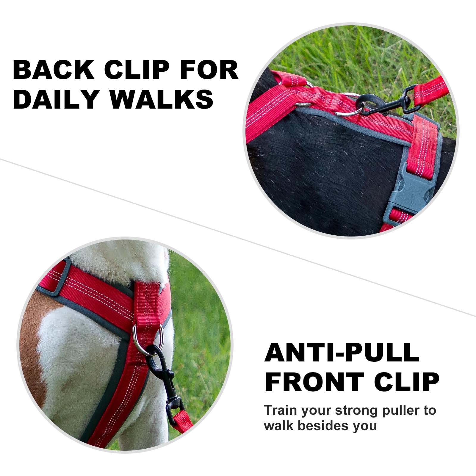 Plutus Pet No Pull Dog Harness - Red, Size S: Adjustable Nylon Vest with Reflective Strips for Small Dogs