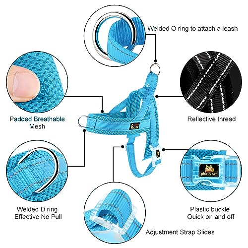 PLUTUS PET No Pull Dog Harness - Size L (Cyan) - Breathable Mesh Padded, Reflective, Escape Proof Vest for Small Medium Large Dogs