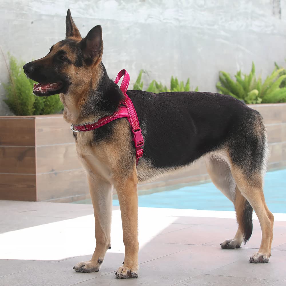 Plutus Pet No Pull Dog Harness - XL Pink, Breathable Mesh, Escape-Proof, Reflective, Quick Fit