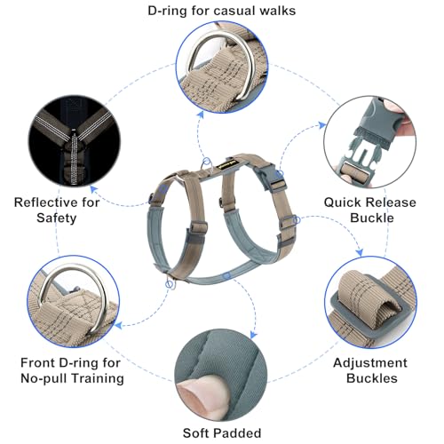 Plutus Pet No Pull Dog Harness, Adjustable Nylon Neoprene Harness with Soft Padding and Reflective Strips, for Small to Large Dogs (Beige, XL)