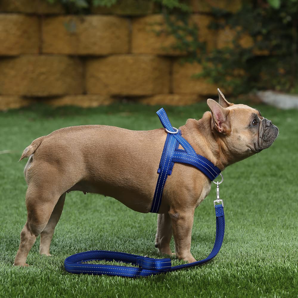 Plutus Pet No Pull Dog Harness – Breathable Mesh, Reflective, Quick-Fit Vest Harness for Small to Large Dogs (M, Navy Blue)