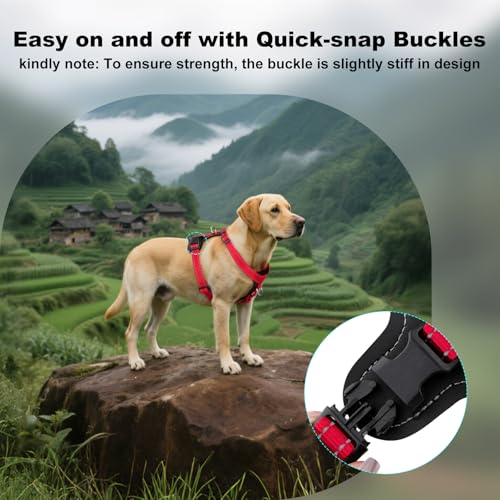 Plutus Pet No Pull Dog Harness (Red, Medium) - Reflective, Adjustable with Leather Trim