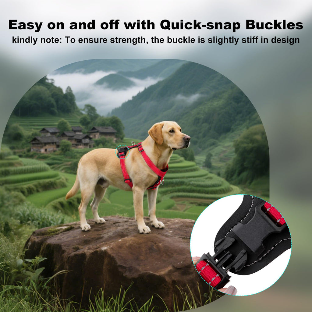 Plutus Pet No Pull Dog Harness (Red, Medium) - Reflective, Adjustable with Leather Trim